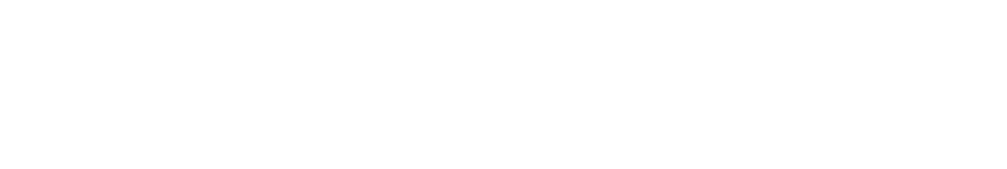 fastskin proⅢ